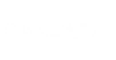 partners who work with megarush