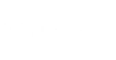 partners who work with megarush